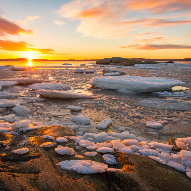 istock Winter sunset at the coastline 1023650006
