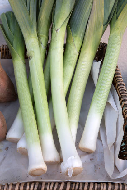 istock Leek for Sale on Market Stall 1023658458