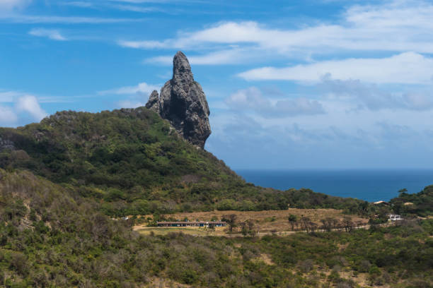 istock Fernando De Noronha - Brazil (Morro do Pico) 1023677554