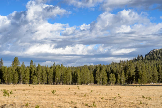 istock Tuolumne Meadows Yosemite National Park 1023683050
