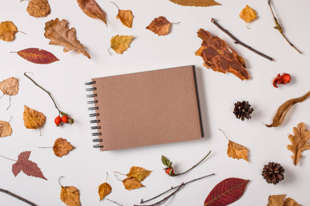 istock Autumn leaves and craft sketchbook 1023688756
