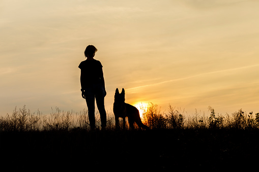 Girl and dog at sunset .