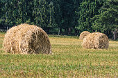 runde-hay-bales.jpg?b=1&s=170x170&k=20&c=1s6VlmY5BuJaYIONTRBg-ZzQd-hFwrkfa3KNaSloTbw=