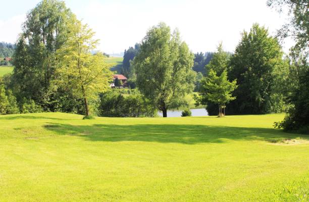 istock Meadow with trees at the bathing lake 1023692320