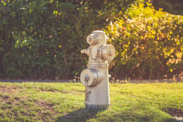 Silver hydrant of Beverly Hills in a warm light