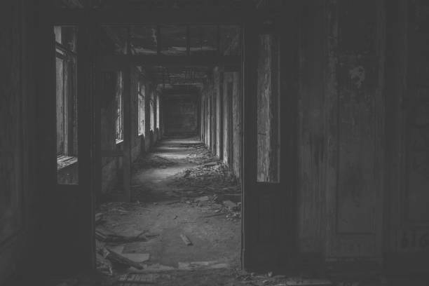 istock Empty rooms of a ruined building 1023692994
