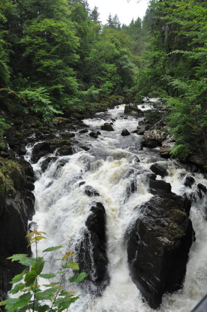 istock Pictures taken while touring Scotland 1023697864