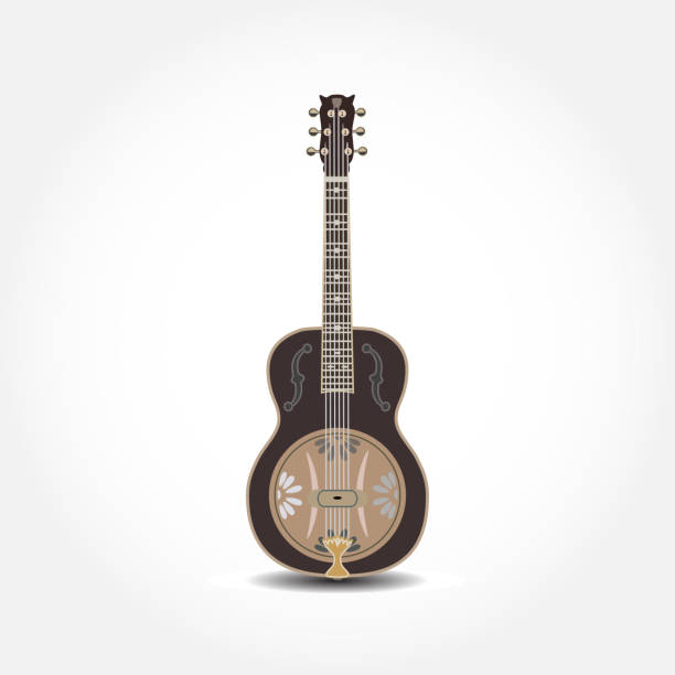 Vector dobro, american resonator guitar Vector illustration of dobro, american resonator guitar isolated on white background. Resophonic guitar, flat style design. notes on guitar neck stock illustrations