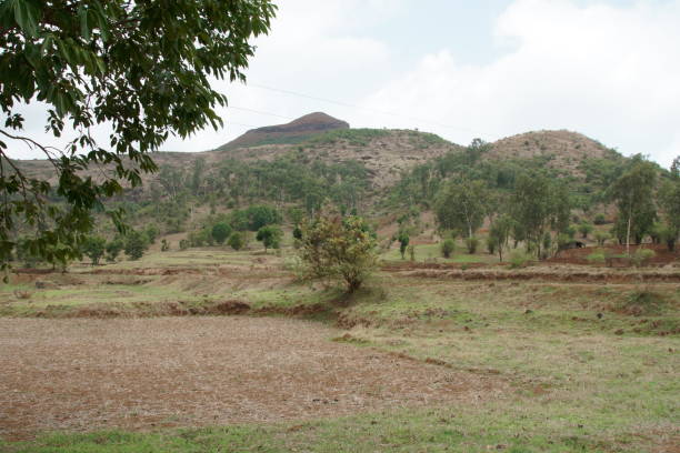 istock Fields near NH 160, Bombay to Ghoti India 1023706654