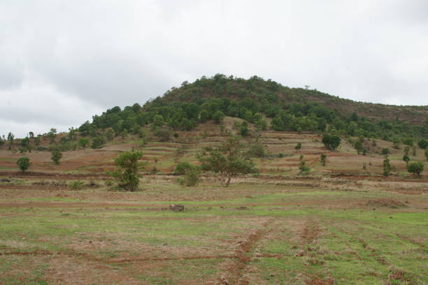 istock Fields near NH 160, Bombay to Ghoti India 1023707380