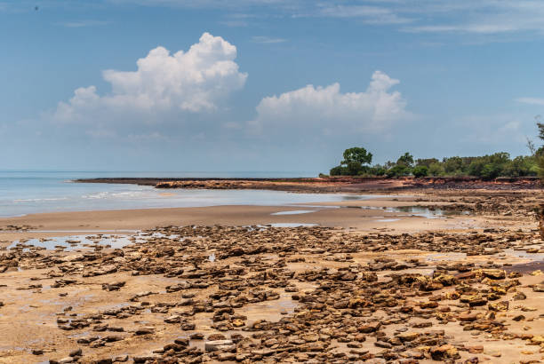 istock Timor Sea shore line at Darwin, Australia. 1023715242