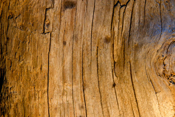 istock Knot in Wood 1023722990