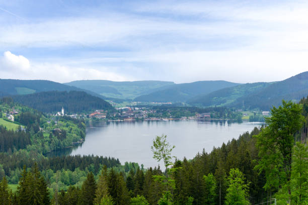 istock Titisee seascape in Black forest In Germany 1023723384
