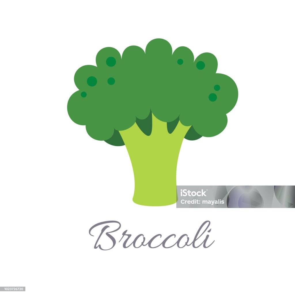 Broccoli icon with title Vector illustration of broccoli icon in flat style with title, isolated on white background Broccoli stock vector