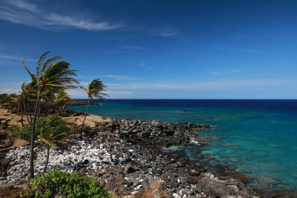 istock Lapakahi State Historical Park, Big Island, Hawaii 1023729810