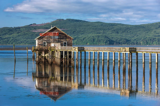istock Old pier in Garibaldi, Oregon. 1023738542