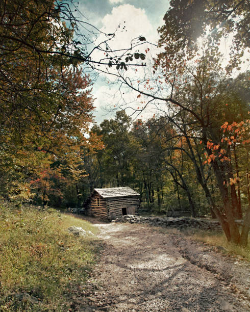 voie aux voisins - appalachian trail dirt road footpath appalachian mountains photos et images de collection