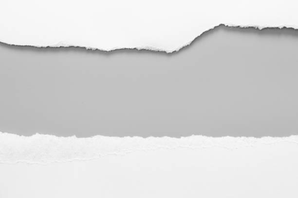 istock white torn paper on gray background. collection paper rip 1023766828