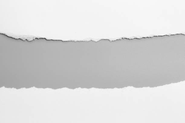 istock white torn paper on gray background. collection paper rip 1023766858