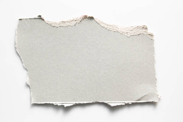 istock Brown corrugated texture paper torn on white background. rip of cardboard sheet used as a background . 1023769810