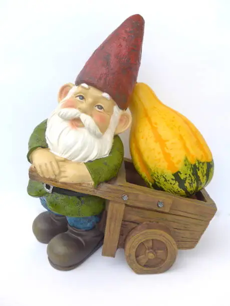 Photo of Garden gnome with a wooden handcart and pumpkin against white background