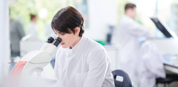 istock female scientist in a busy research lab 1023782904