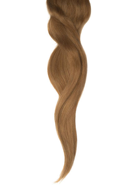 istock Brown hair isolated on white background. Long beautiful ponytail 1023785492