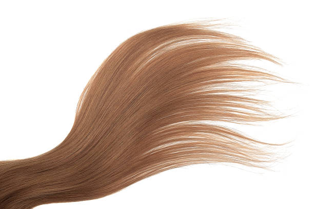istock Brown hair isolated on white background. Long beautiful ponytail 1023788158