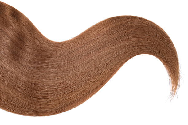 istock Brown hair isolated on white background. Long beautiful ponytail 1023788256