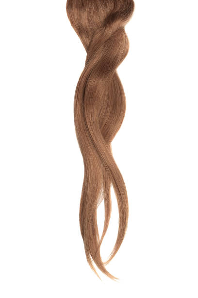 istock Brown hair isolated on white background. Long beautiful ponytail 1023788348