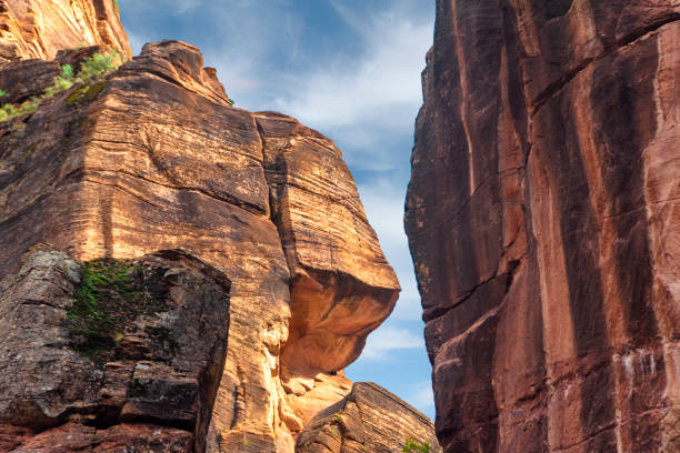 istock Zion National Park 1023798452