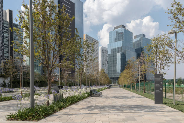 istock empty urban park with benches, young trees and white flowers 1023801230