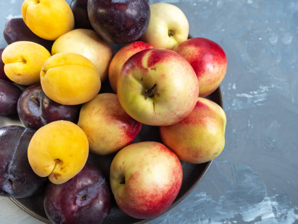 istock ripe nectarines and red plums on a ceramic plate close-up 1023812384