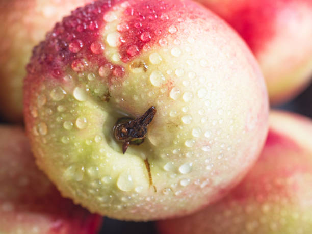 istock ripe juicy nectarine close-up with red sideways 1023812430