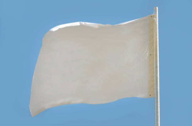 istock Blank Template for your logo - White flag isolated on light blue background 1023817404
