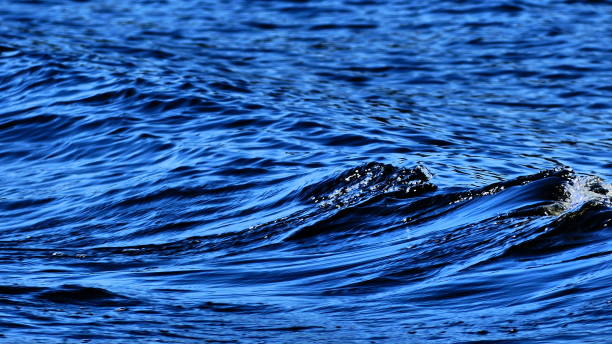 istock Water with a wave and the water drops that shine 1023823288
