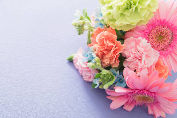 istock Bouquet of Gerbera and Carnation 1023823552