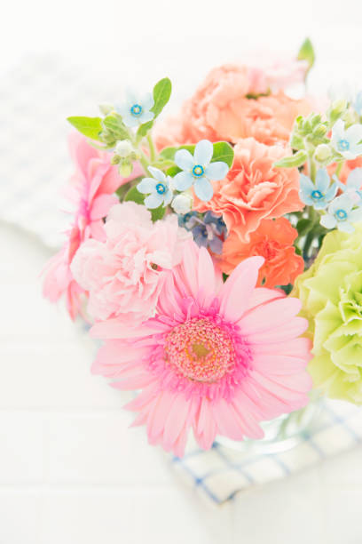 istock Bouquet of Gerbera and Carnation 1023823750