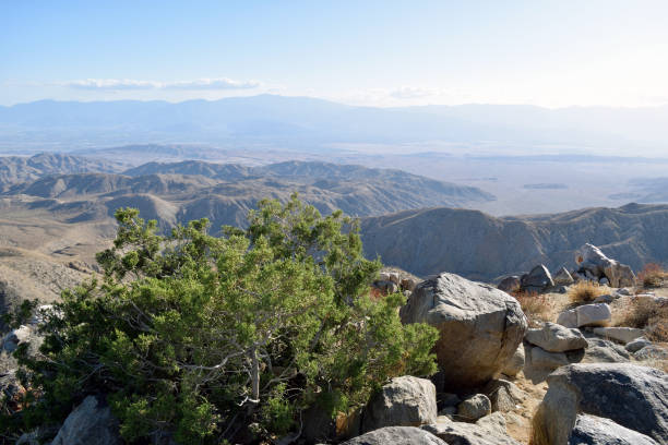 istock A Sunny Day in the Coachella Valley 1023823794