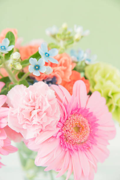 istock Bouquet of Gerbera and Carnation 1023825462