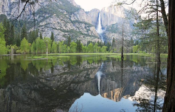 istock Perfect landscape in Yosemite NP 1023825980