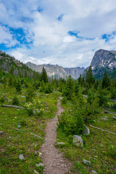 istock A Walk in the Woods 1023826644