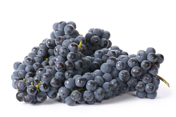 świeży pęczek winogron z liśćmi wyizolowanymi na białym tle - dark blue grapes zdjęcia i obrazy z banku zdjęć