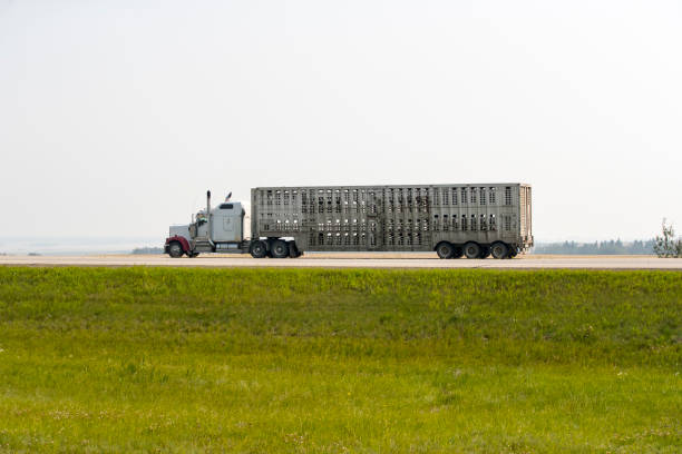 istock Heavy Cargo on the Road 1023834924