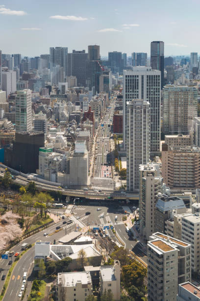 istock Tokyo Aerial View 1023848424