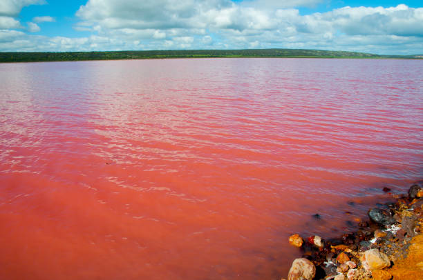 istock Hutt Lagoon Pink Lake 1023855420