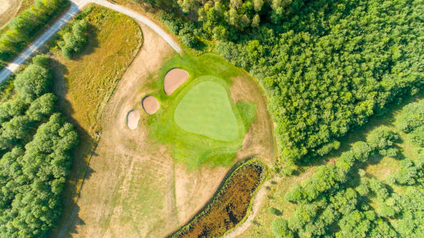 istock Golf green surrounded by sand traps and forest 1023857888