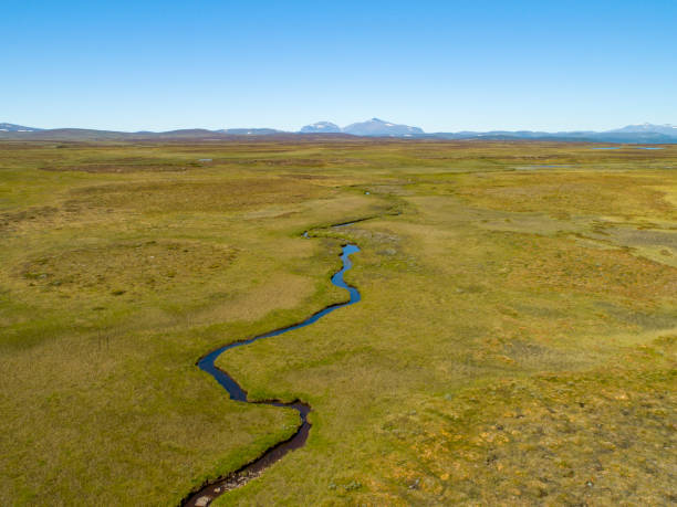 istock River passing through a green savannah landscape 1023858018