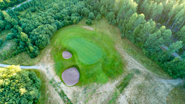 istock Golf green surrounded by sand traps and forest 1023858020