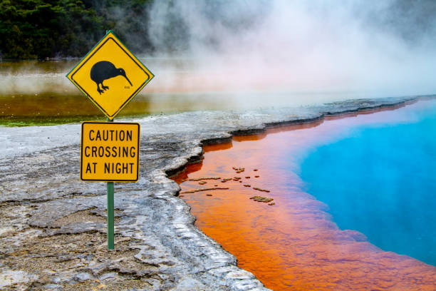 Kiwi bird sign at the Champagne Pool, Rotorua, New Zealand Kiwi bird sign at the thermal champagne pool seen in Rotorua in the north island of New Zealand. rotorua stock pictures, royalty-free photos & images